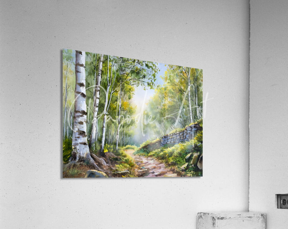Rectangular acrylic print of a watercolor painting showing a sunlit forest path with birch trees and a stone wall on a white wall