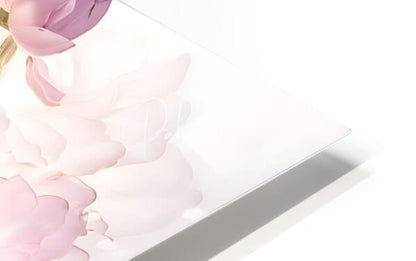A delicate pink peony flower with soft layered petals resting on a sleek white glass surface in peonies in pink
