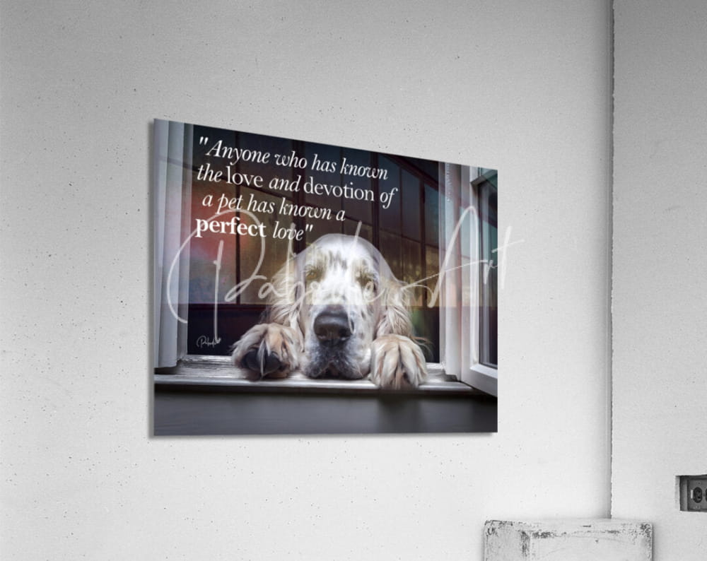 A framed acrylic print titled a perfect love featuring a white and gray long fur dog on a windowsill with a pet love quote