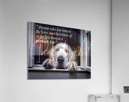 A framed acrylic print titled a perfect love featuring a white and gray long fur dog on a windowsill with a pet love quote