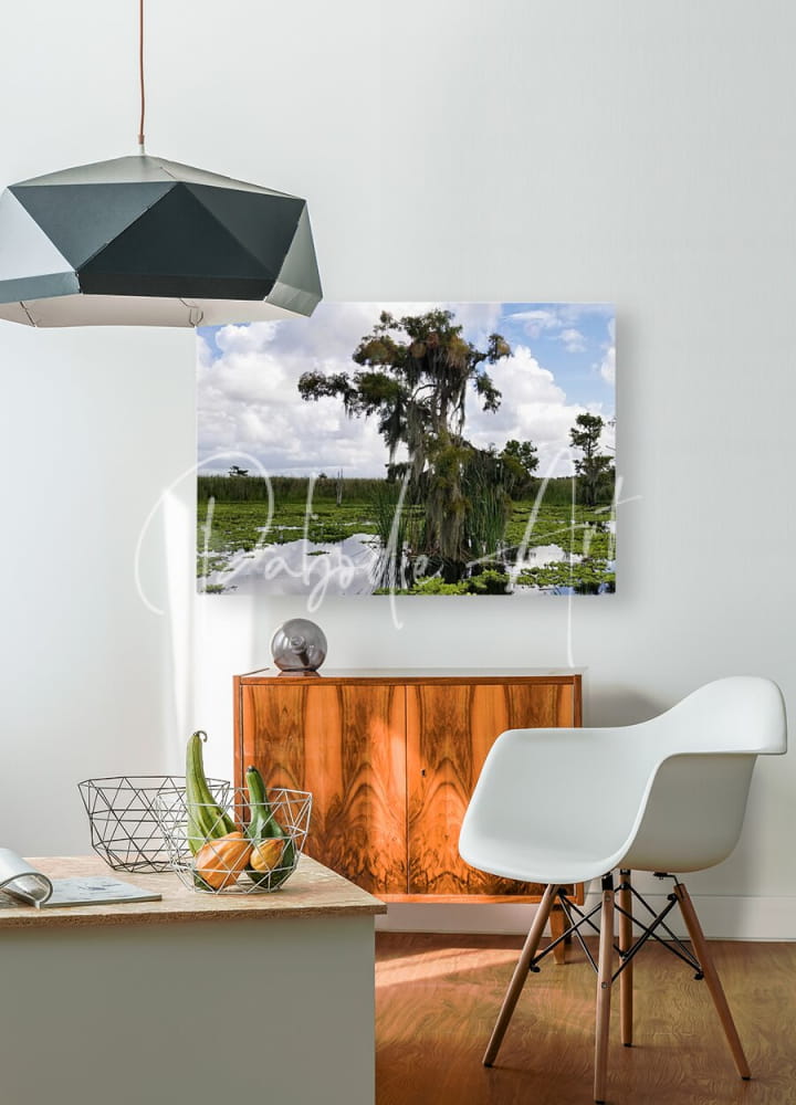A rectangular canvas print titled perfect osprey nest featuring a swamp scene with tall trees and spanish moss