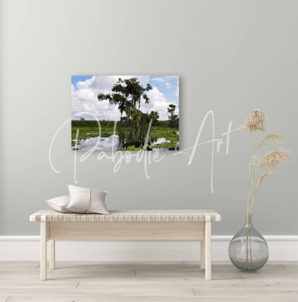 Rectangular canvas print titled perfect osprey nest showing a serene swamp scene with a tree and spanish moss