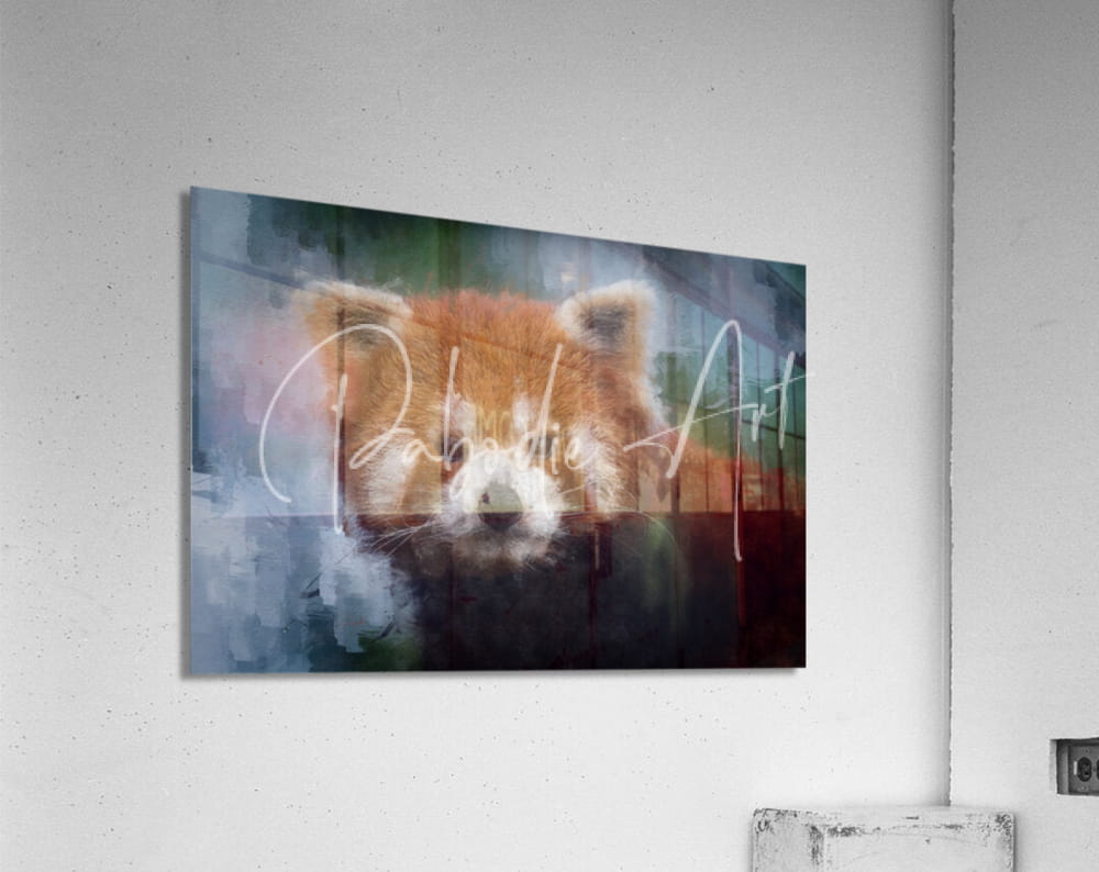 A rectangular acrylic print titled red panda portrait featuring a watercolor red panda with soft orange and white fur