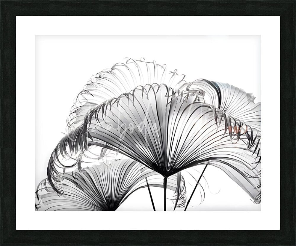 Black-framed artwork featuring a monochrome stylized ribbon fan palm leaves print with delicate radiating lines