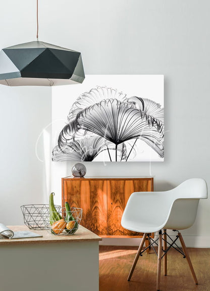 Black-and-white canvas print featuring intricate stylized ribbon fan palm leaves pattern for wall decor