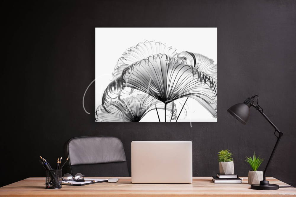 Black and white framed ribbon fan palm leaves artwork featuring stylized overlapping palm fronds design