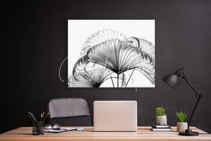 Black and white framed ribbon fan palm leaves artwork featuring stylized overlapping palm fronds design