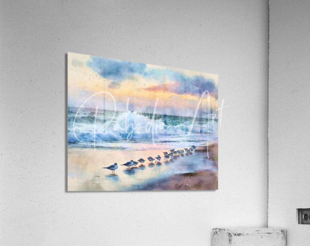 Acrylic print of a watercolor beach sunset painting with seagulls titled Sanderlings Along the Shore