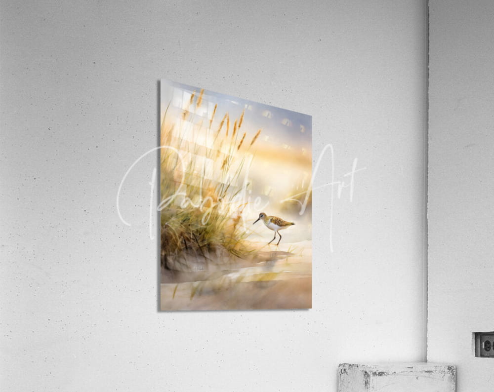 Watercolor painting of a small sandpiper bird standing in tall golden grass under a soft warm sky in the shoreline series