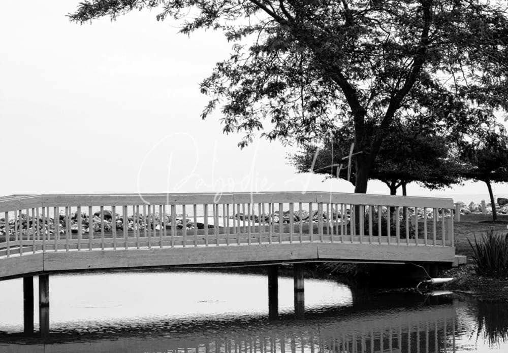 A serene curved wooden pedestrian bridge with vertical railings spans calm water in sawmill creek wooden bridge design
