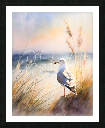 Seagull perch watercolor painting of a white and gray seagull on sandy dunes framed in black