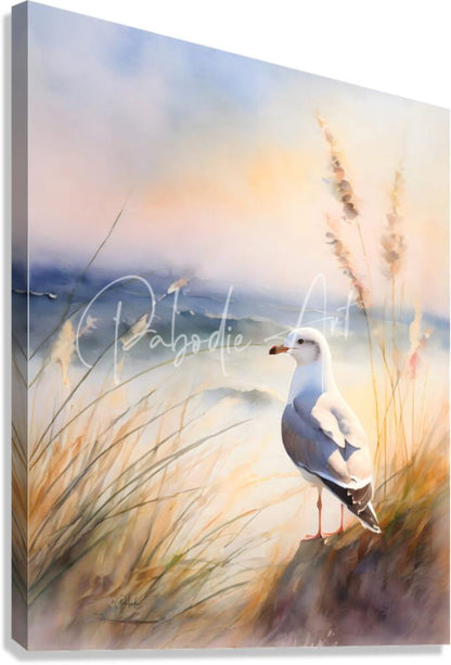 Seagull perch watercolor painting on stretched canvas depicting a white and gray seagull in golden grasses under warm sky