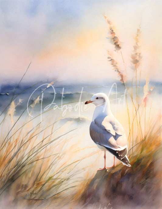 A watercolor painting of a seagull with white and gray feathers standing on sand beside golden reeds titled seagull perch