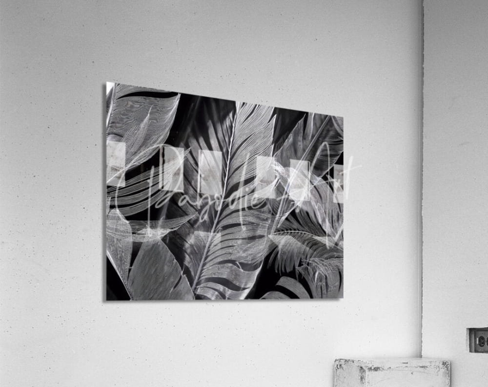 Black and white acrylic print shades of night tropics I featuring detailed tropical leaf patterns