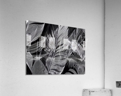 Black and white acrylic print shades of night tropics I featuring detailed tropical leaf patterns