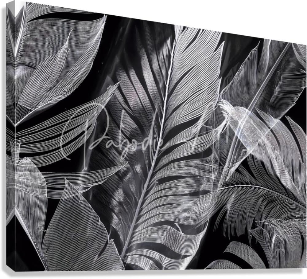 Black and white canvas print featuring intricate stylized palm fronds in line art titled shades of night tropics i