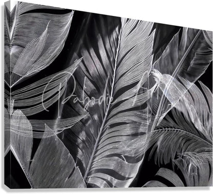 Black and white canvas print featuring intricate stylized palm fronds in line art titled shades of night tropics i