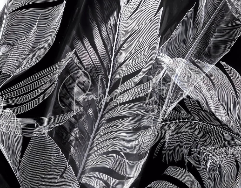 Black-and-white line-art illustration of tropical feathers in shades of night tropics i design