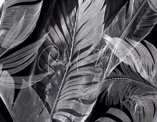 Black-and-white line-art illustration of tropical feathers in shades of night tropics i design