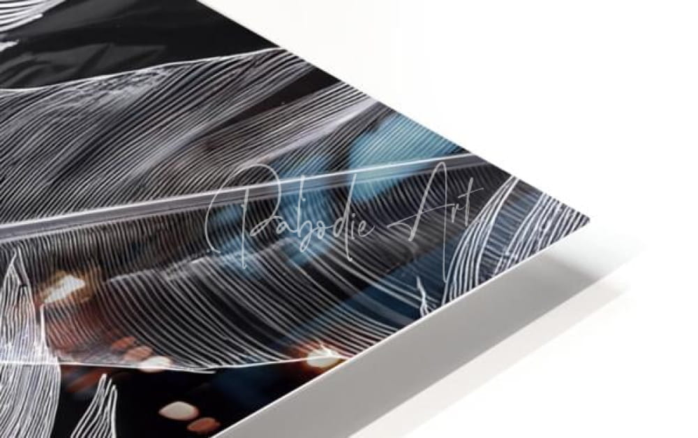 Black and white feather artwork on a sleek modern floating canvas with elegant cursive branding shades of night tropics I