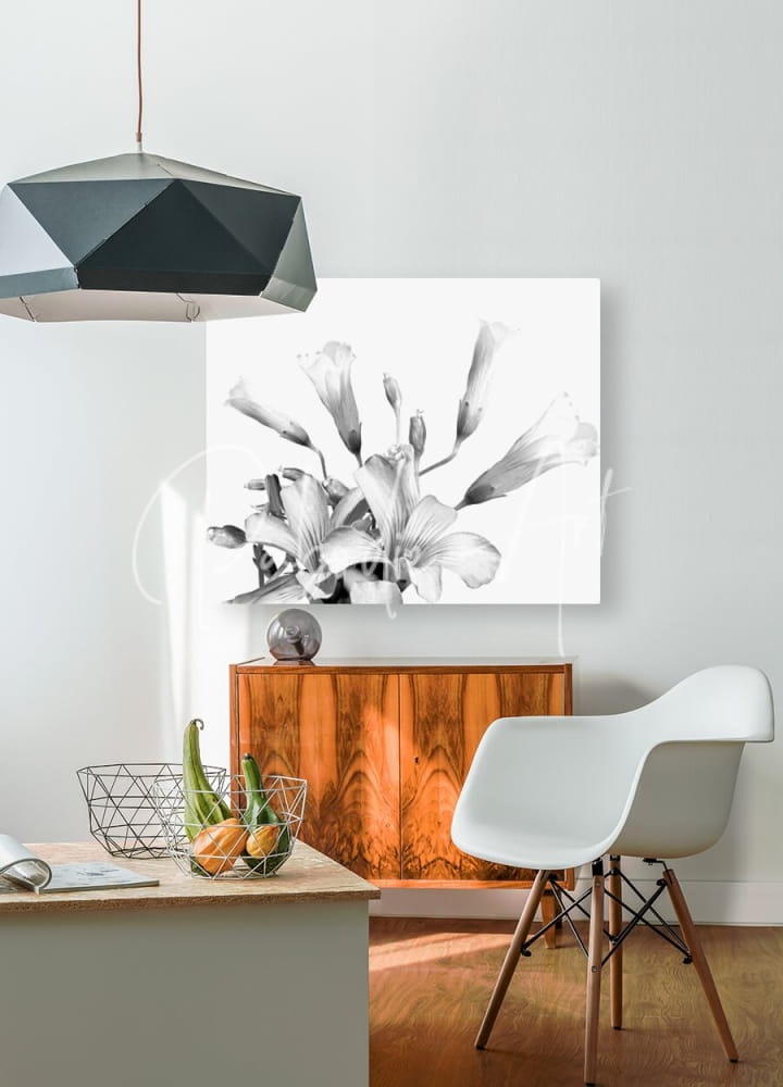 Black and white floral canvas print featuring shamrock plant blooms hanging on the wall for home decor
