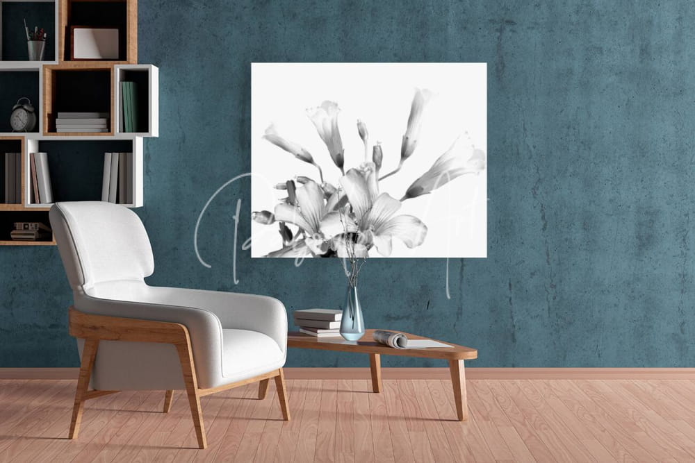Shamrock plant blooms minimalist black and white floral canvas print with lily blossoms on textured teal wall