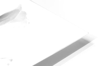 A sleek minimalist white laptop with slim metallic edge shown with shamrock plant blooms product theme