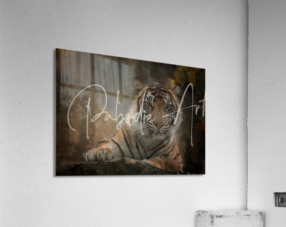A rectangular acrylic print of a detailed realistic orange and black Siberian tiger resting with extended front paws