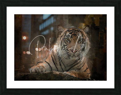 A framed Siberian tiger portrait artwork featuring a detailed realistic orange and black striped tiger with piercing eyes
