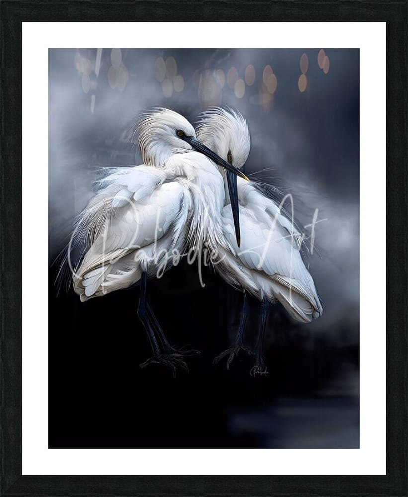 Framed artwork titled sleepy young egrets featuring two white egrets with long black beaks and legs on dark background