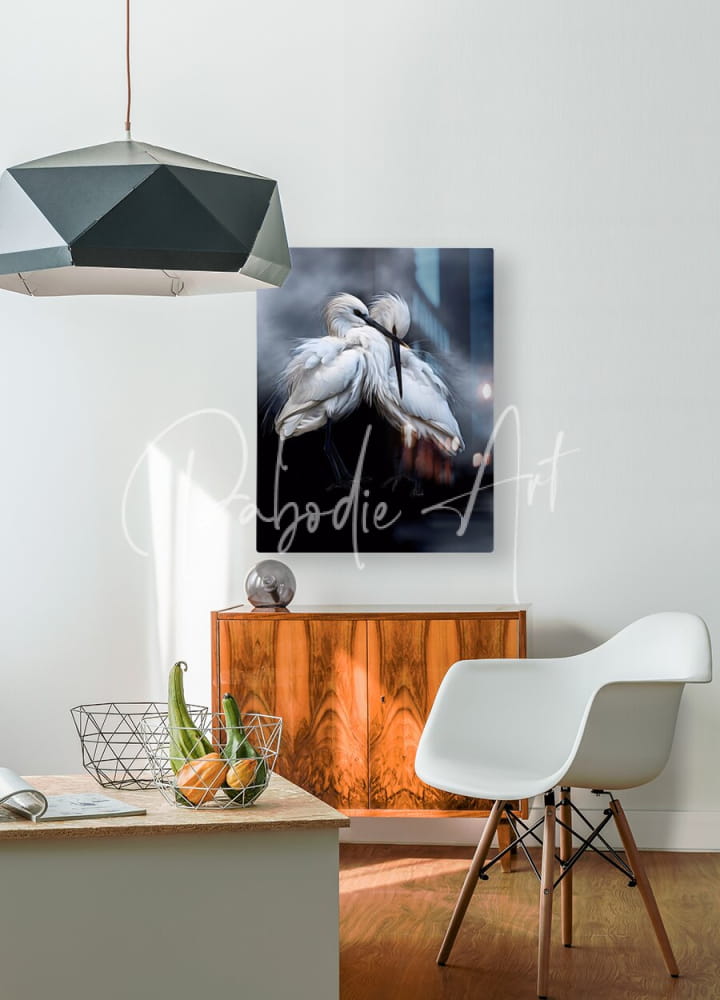 A framed canvas print titled Sleepy Young Egrets showing two white birds in a tender embrace on a dark background