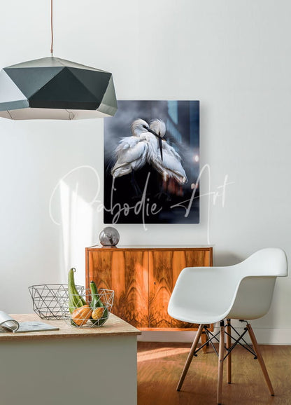 A framed canvas print titled Sleepy Young Egrets showing two white birds in a tender embrace on a dark background