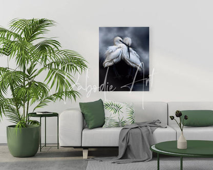 Black-and-white canvas artwork of two white sleepy young egrets in an intimate pose for home decor