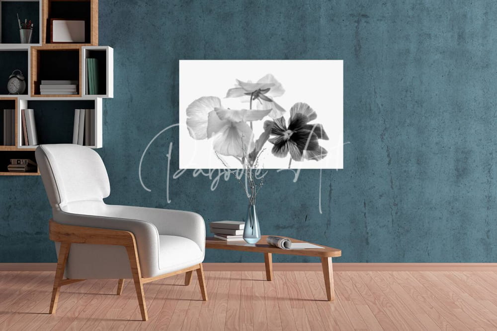 A black-and-white floral artwork titled spring pansies in black and white featuring delicate blossoms in a white frame