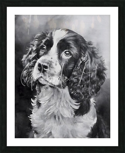 Black and white framed portrait of a springer spaniel puppy with expressive eyes perfect for wall decor