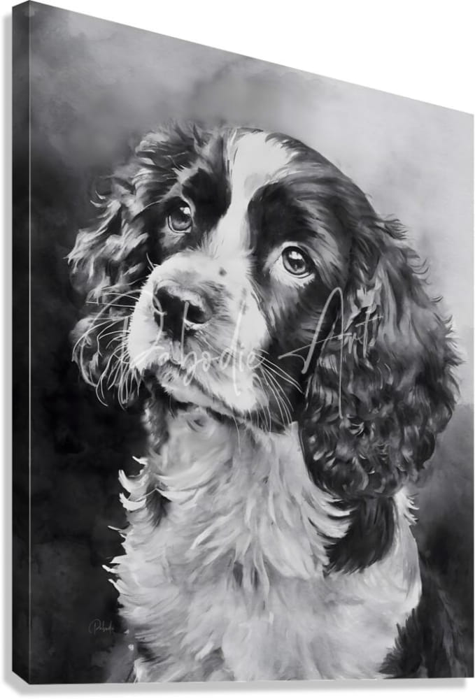 Black and white watercolor portrait of a springer spaniel puppy on canvas wall art for home decor