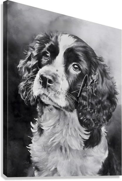 Black and white watercolor portrait of a springer spaniel puppy on canvas wall art for home decor
