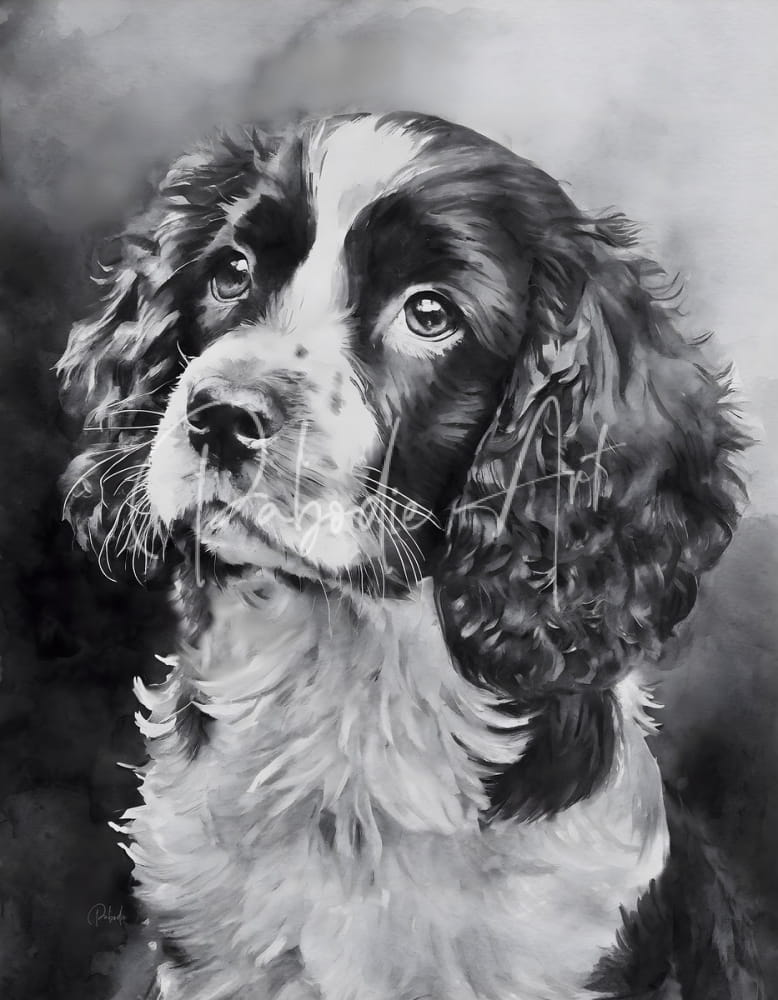 A detailed black and white watercolor portrait of a springer spaniel puppy with floppy ears and expressive eyes