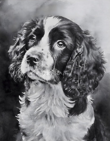 A detailed black and white watercolor portrait of a springer spaniel puppy with floppy ears and expressive eyes