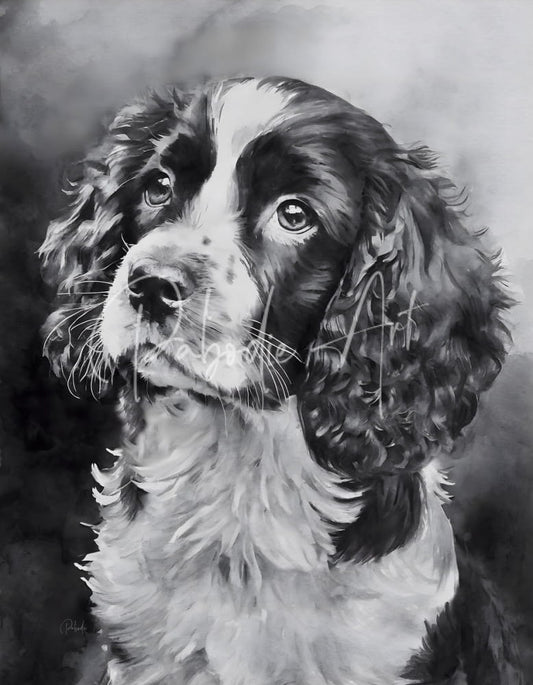 A detailed black and white watercolor portrait of a springer spaniel puppy with floppy ears and expressive eyes