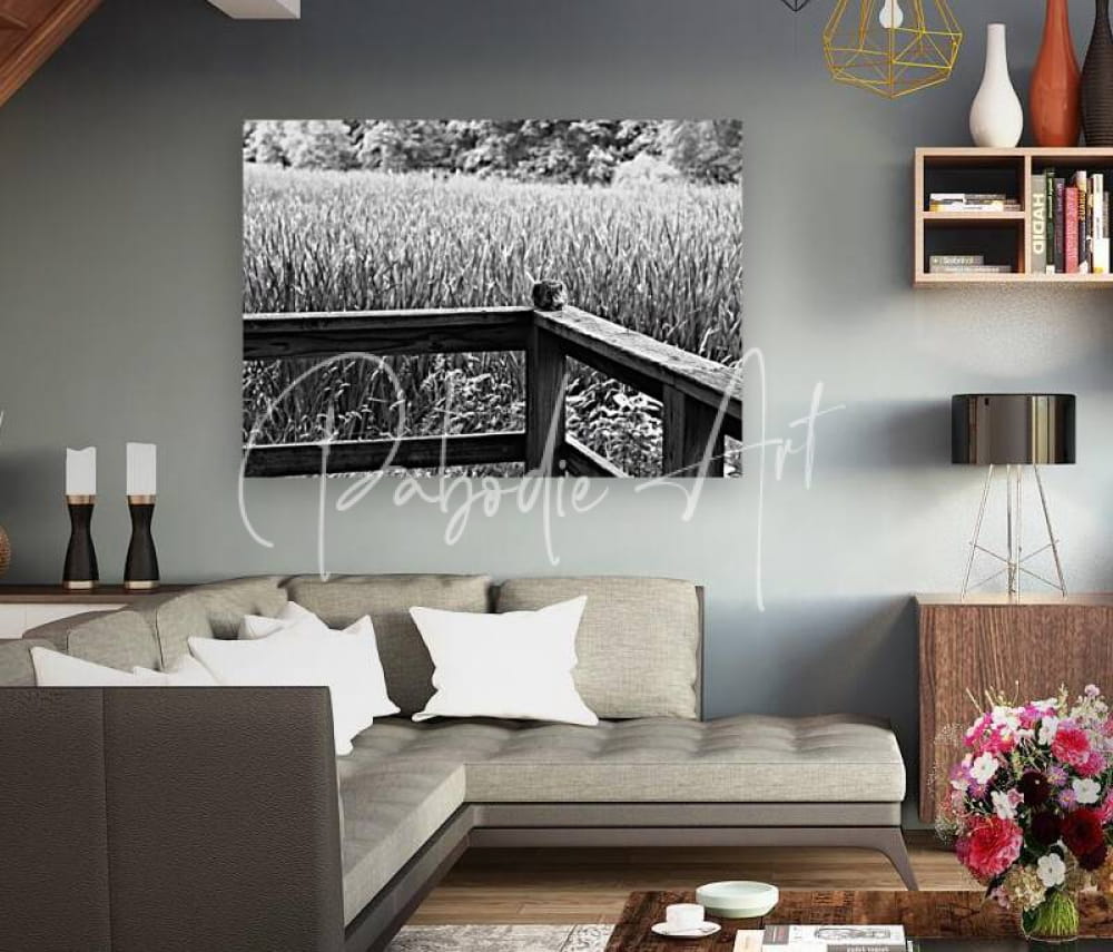 Black and white photographic print of a wooden fence in a field mounted on the wall titled squirrely perspective