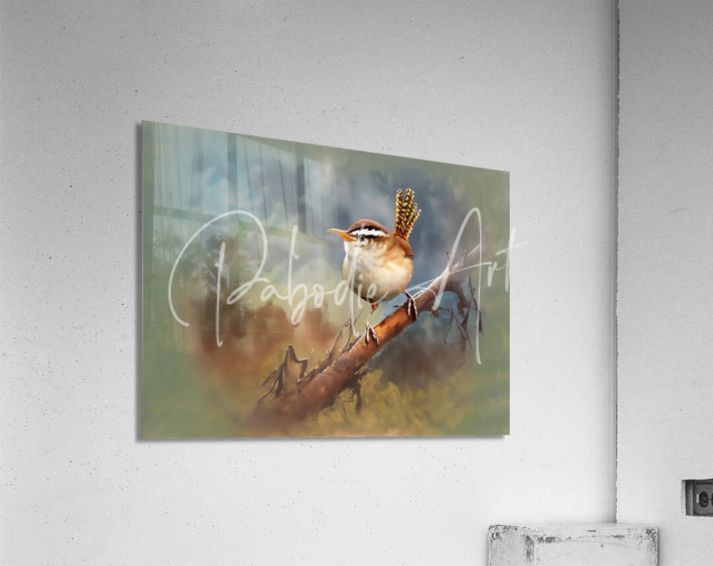 A rectangular acrylic print featuring a detailed watercolor painting of a brown and white carolina wren on a branch