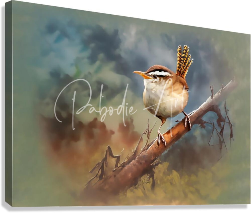 A canvas painting titled sweet carolina wren featuring a detailed small brown and white bird with an upright crest on a branch