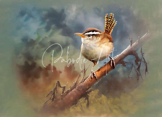 Sweet carolina wren featuring delicately painted warm brown and white plumage with a golden brown crest perched on a branch