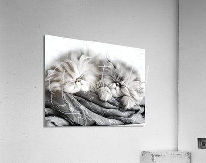 Black-and-white acrylic print of two fluffy persian cats resting on patterned fabric titled sweet dreams kittens