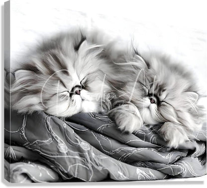 Black-and-white canvas print featuring two fluffy persian kittens curled together on a patterned blanket titled sweet dreams kittens
