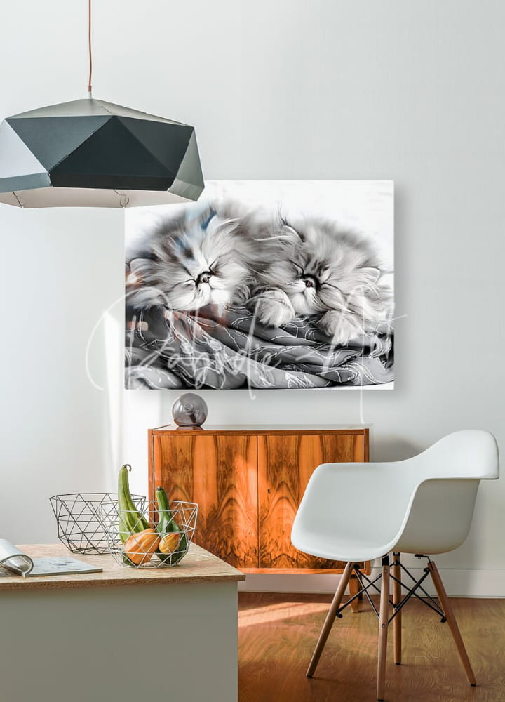 Black-and-white canvas print featuring two fluffy Persian cats nestled together titled Sweet Dreams Kittens