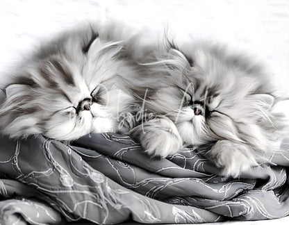 Two fluffy persian kittens with long soft fur curled together sleeping on cozy patterned fabric sweet dreams kittens
