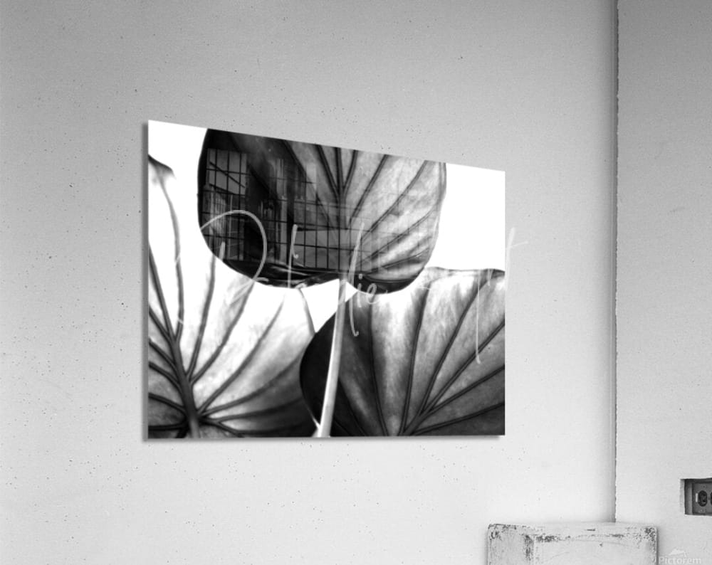 Black and white acrylic print tree of life leaf art featuring bold textured leaf patterns on a subtle grid background