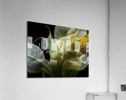 A modern acrylic print titled tropical leaves on black featuring translucent green and yellow leaves on black background
